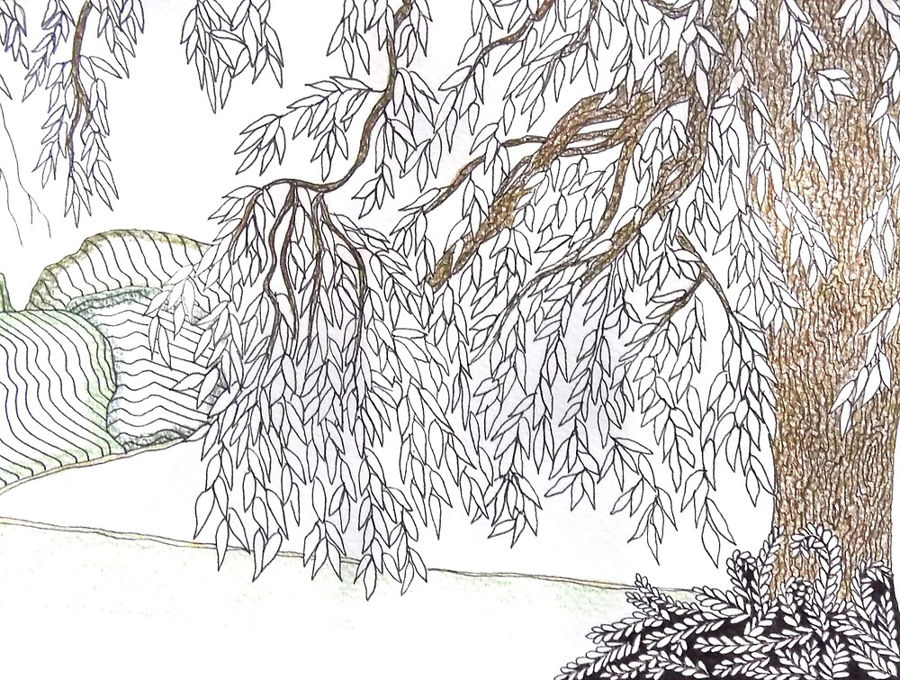 1000x755 Willow Tree, Moses Gate By Sharonp Art Redbubble