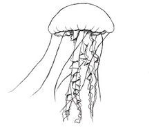 236x195 Jellyfish Wind Chime Kids Ceramics Ideas Jellyfish