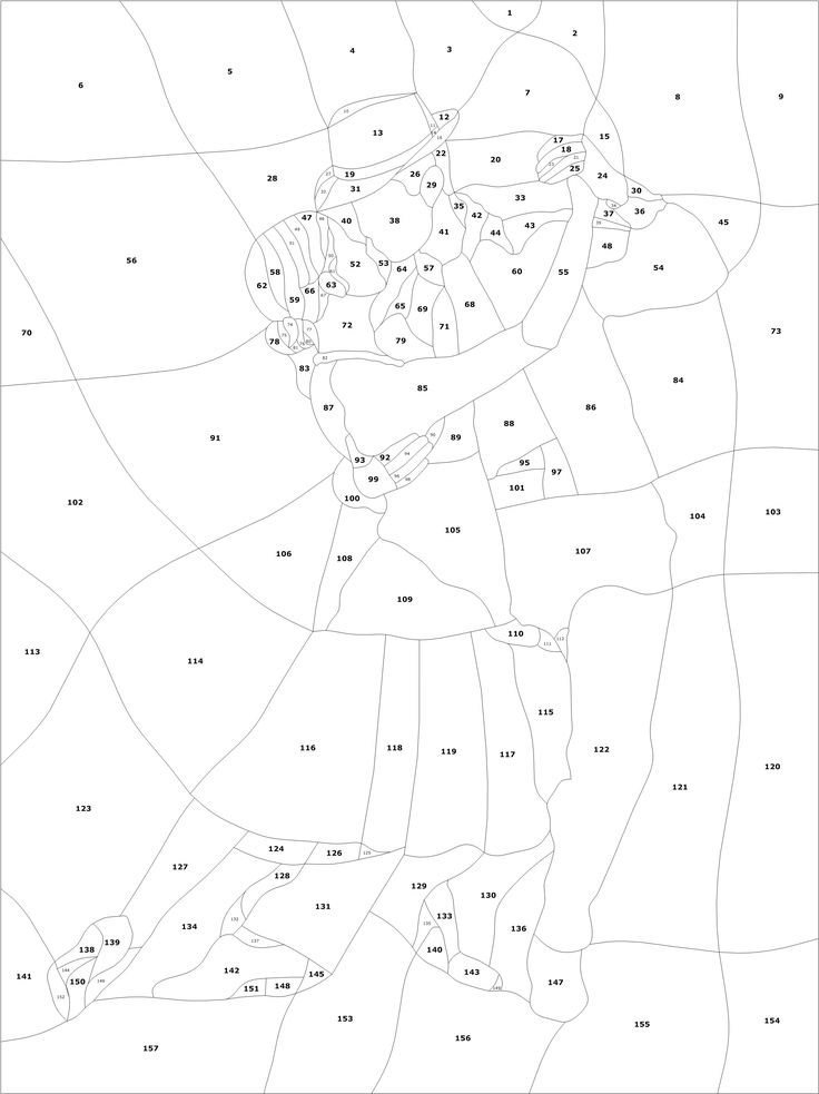 736x983 55 Best Stained Glass Dancing Images On Stained Glass