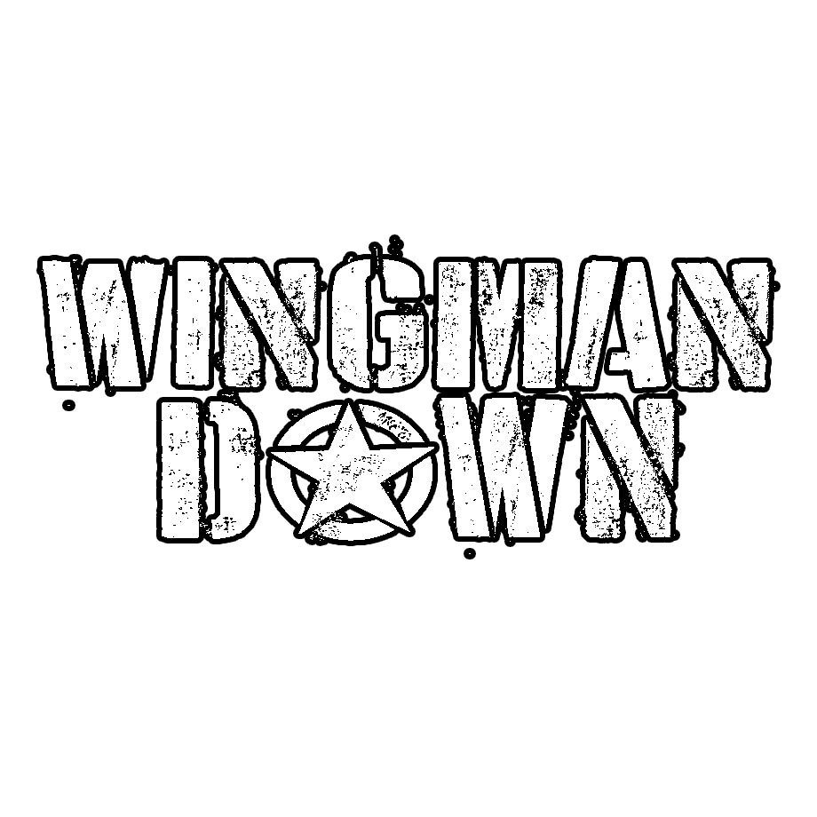 920x920 Wingman Down