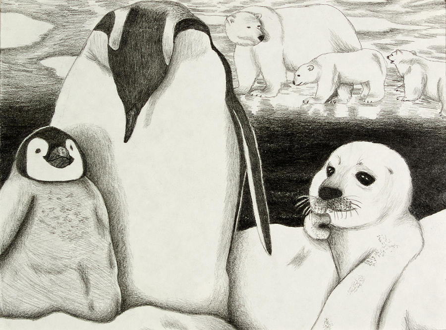 900x665 Winter Wonderland Drawing By Jeanette K