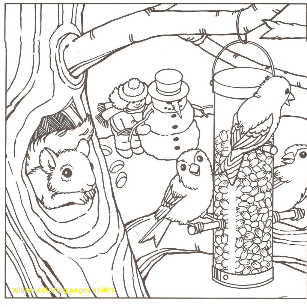 1024x1024 Perfect Design Winter Coloring Pages Adults Winter Coloring Pages