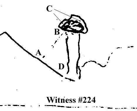 467x378 Witness Sketches Get No Sunlight