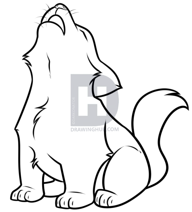 650x720 Howling Wolf Pup Drawing Tutorial, Step By Step, Drawing Guide, By