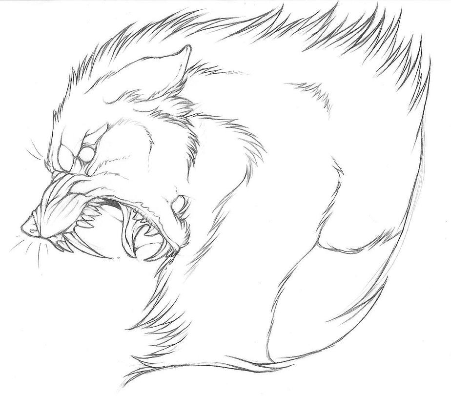 924x811 Collection Of Wolf Head Front View Drawing High Quality