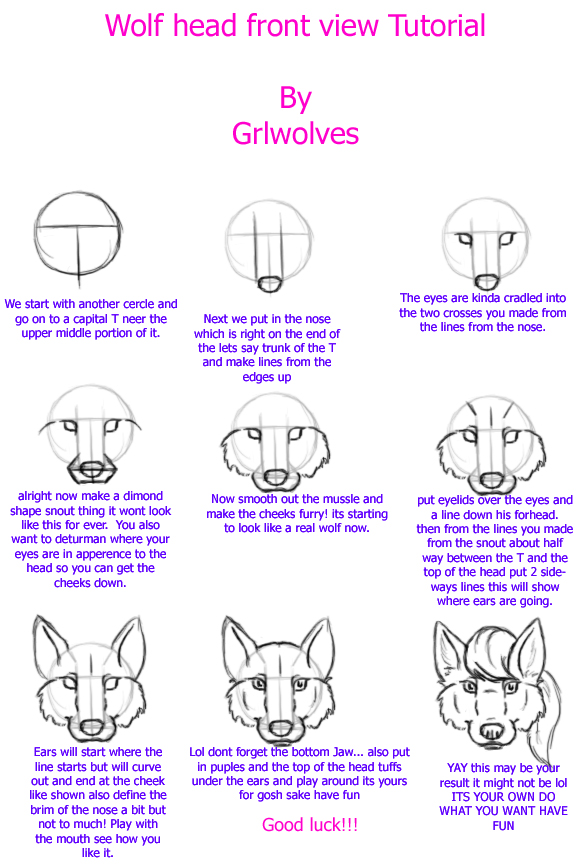 576x864 Wolf Head Front View Tutorial By Grlwolves