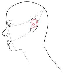 220x253 Check Out This Easy Tutorial On How To Draw A Wolf's Face In Side