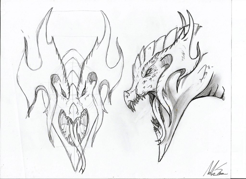 1024x744 Random Dragon Head ( Front And Side View) By Sauna2345