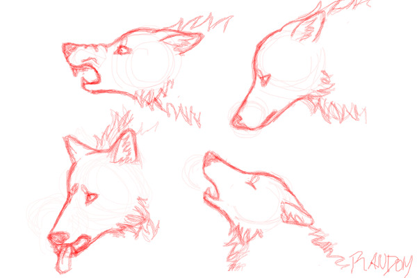 600x400 Collection Of Wolf Head Side Drawing High Quality, Free