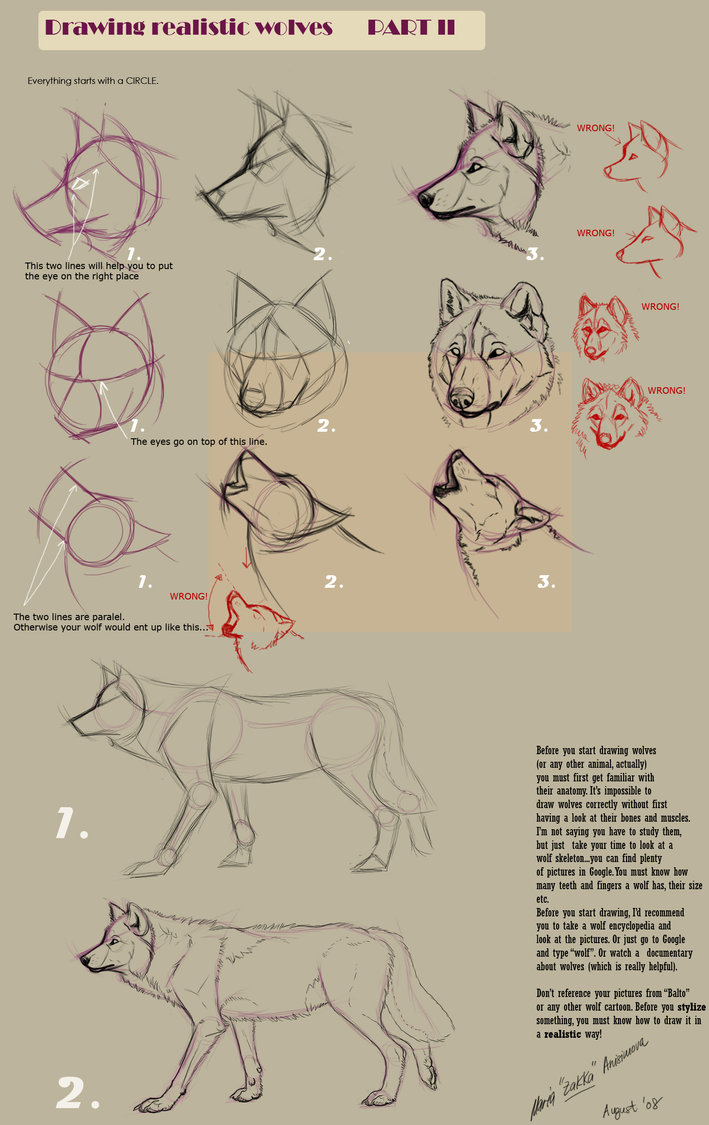 709x1125 Drawing Realistic Wolves Ii By Yellow Eyes