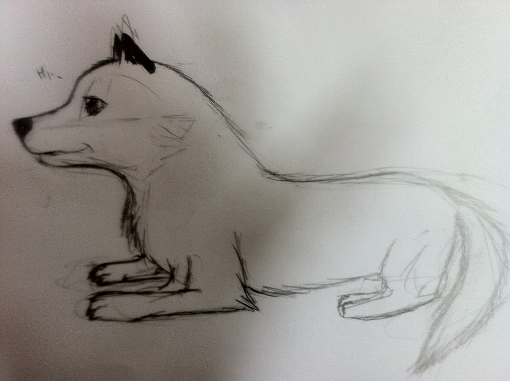 1024x765 Wolf Side View By Intelligentwolf