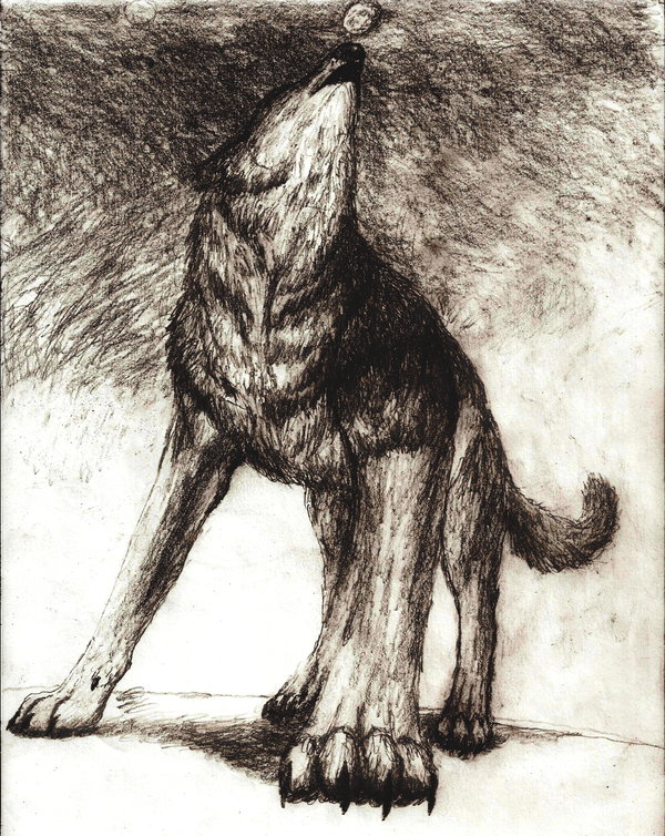 600x754 Dark Wolf Howling To Black Sky By Rhahsid