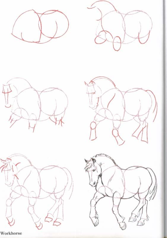 563x802 Pin By Gabriela Moreno On Retrato Horse Horse