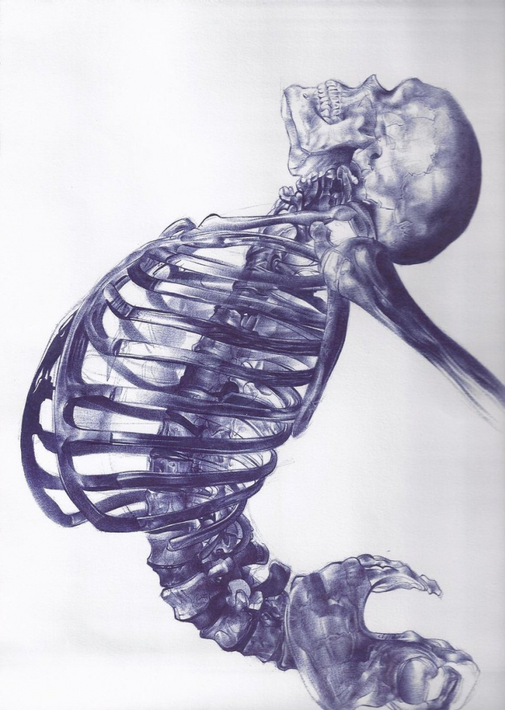 729x1024 Skeleton Drawing Tumblr 17 Best Images About Chiro World