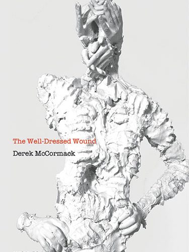 375x500 Book Review The Well Dressed Wound Broken Pencil Magazine