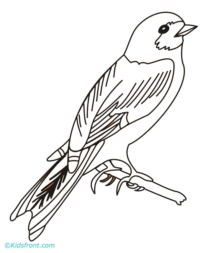 720x880 The Pictures