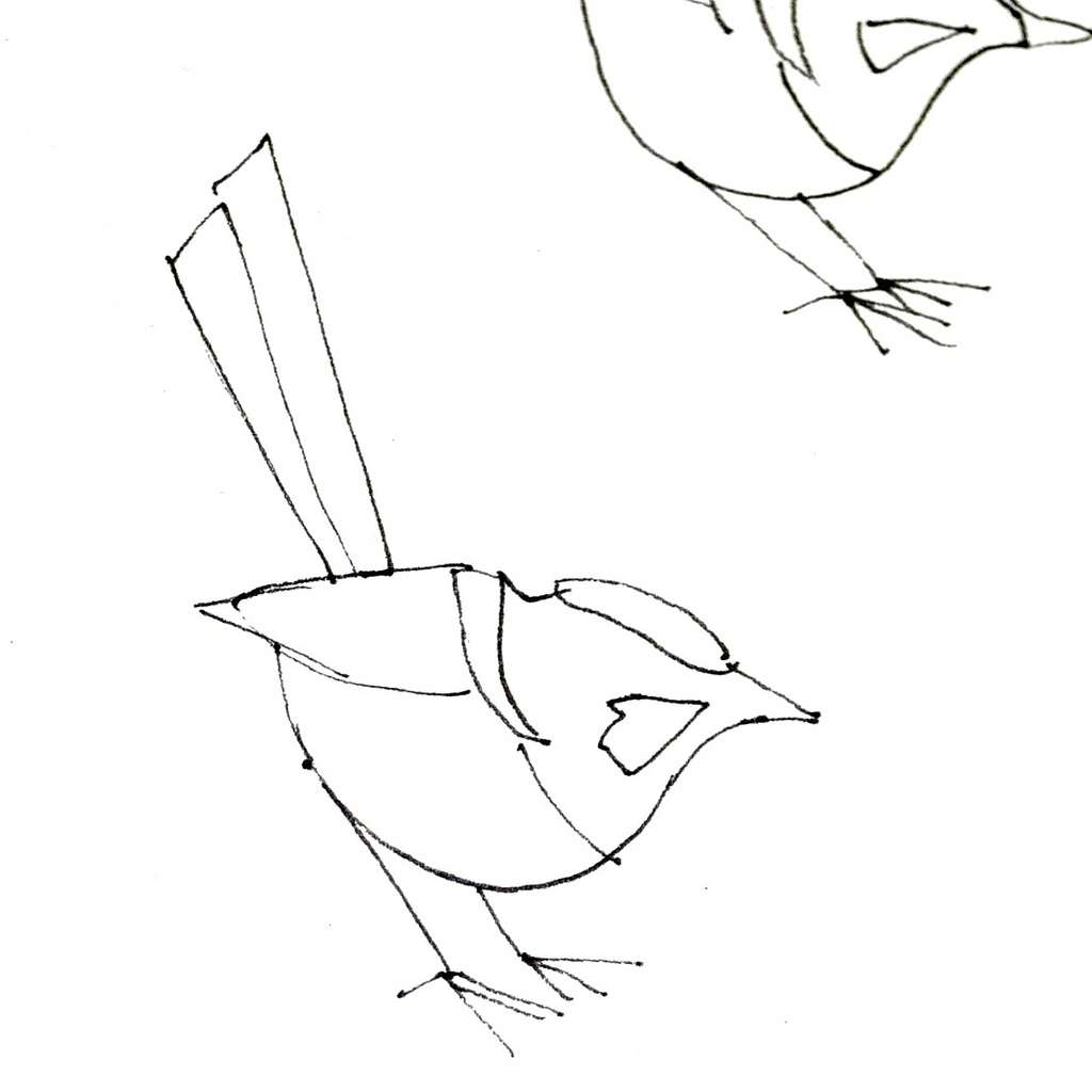 1024x1024 Wren Sketch Blogged Susie Stubbs