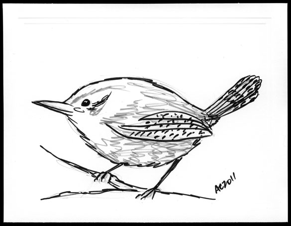 585x455 Wren Antemortem Arts Fine Art Amp Custom Paintings