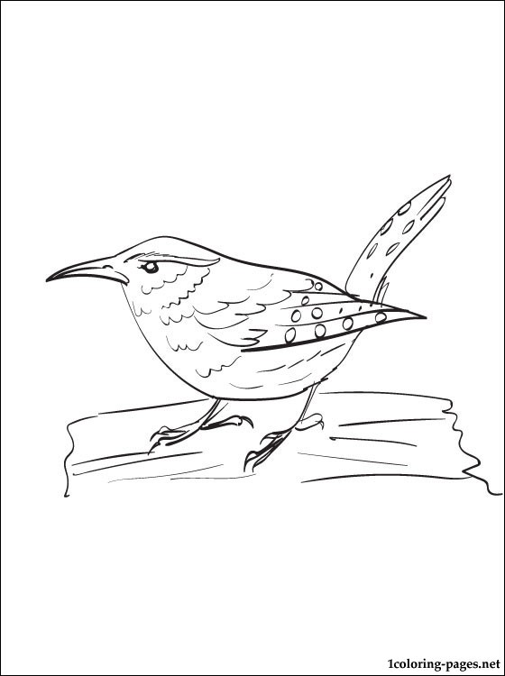 560x750 Coloring Page Wren Coloring Pages