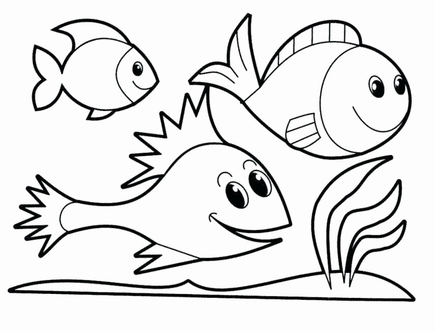 854x651 Fish Coloring Pages For Preschool Fresh X Ray Fish Drawing