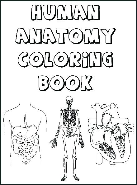 440x594 Body Parts Coloring Page Body Parts Coloring Pages X Ray Coloring