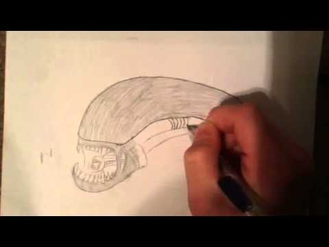 480x360 How To Draw Xenomorph Alien (Easy)