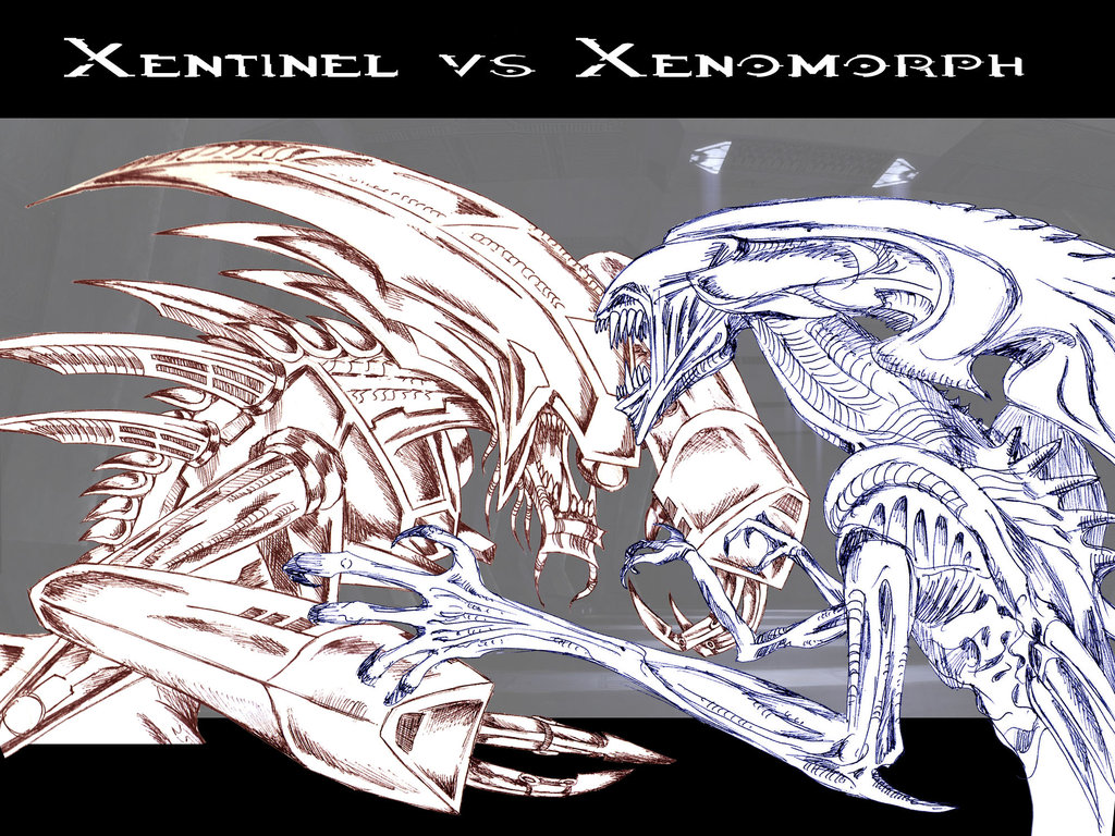 1024x768 Xentinel Vs Xenomorph By Drskytower