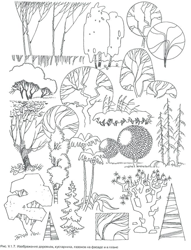 656x858 Drawing Landscape Plans Concept Planting Plans Drawing Yard Plans