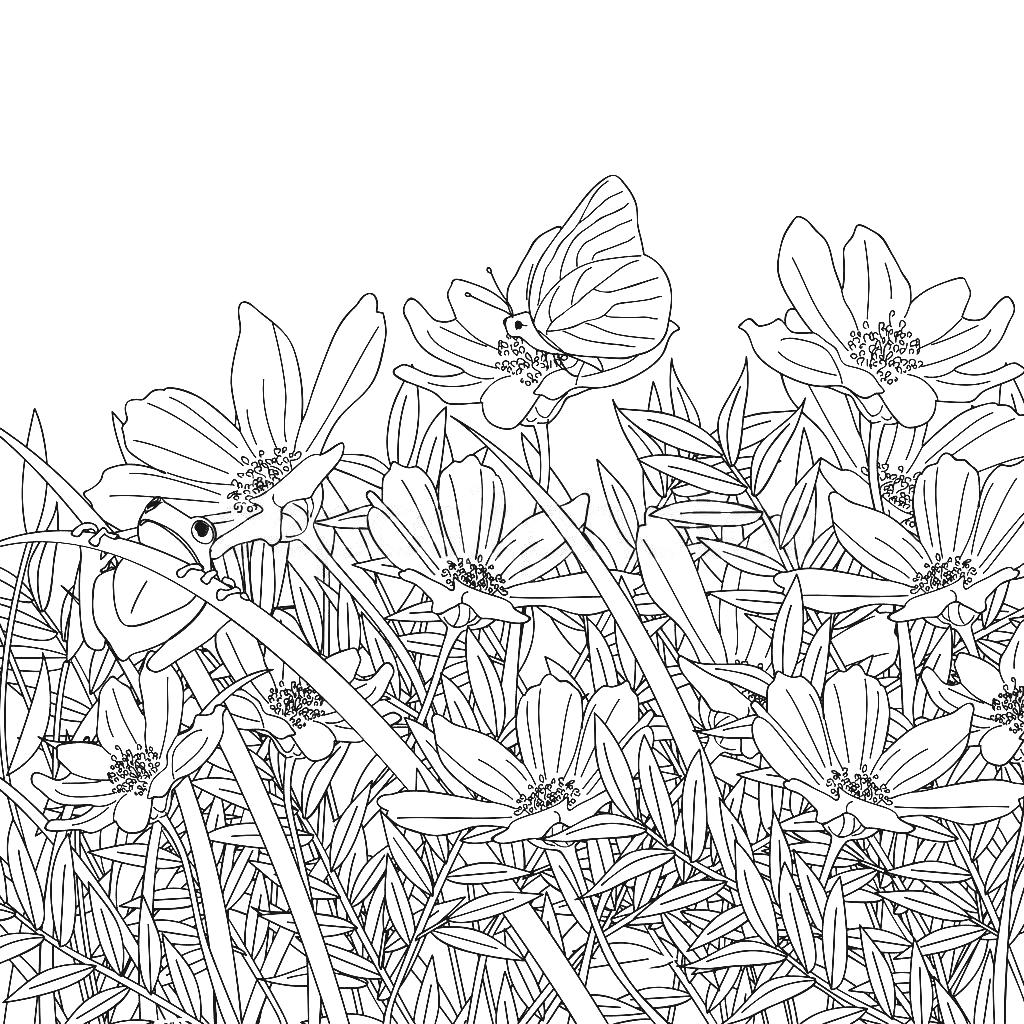 1024x1024 Flower Garden Drawings Photos Of A Ac Kidsphotos Garden Design Ideas