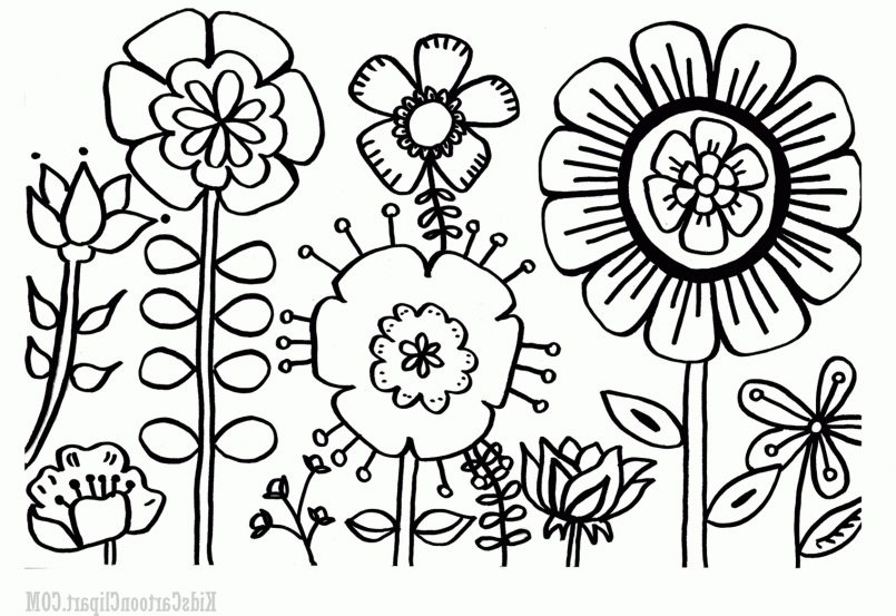 805x553 Garden Ideas Flower Garden Drawing Black White Black