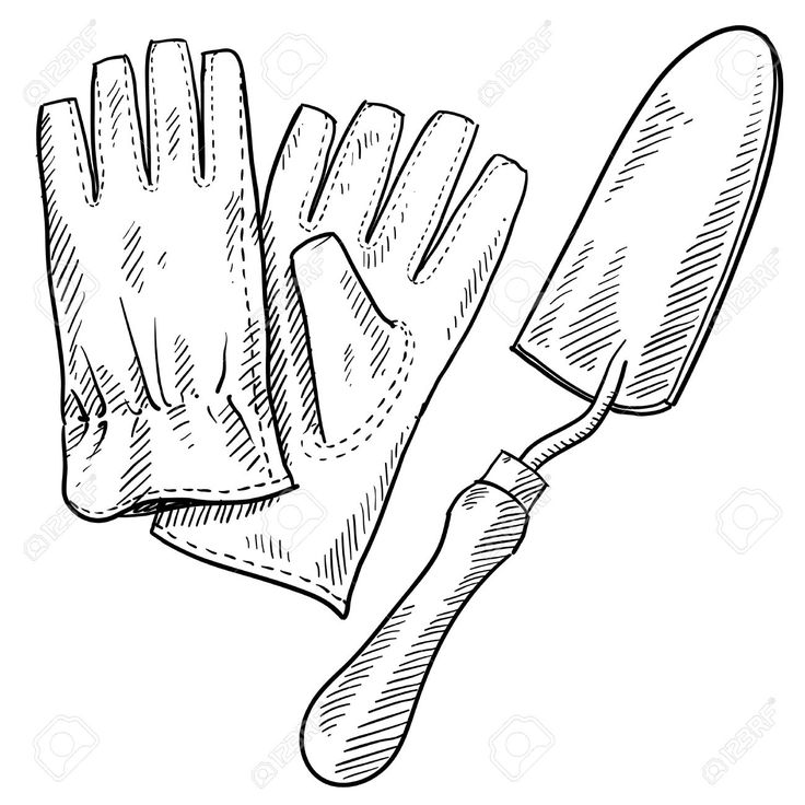 736x736 The 256 Best Garden Graphics Images On Adult Coloring