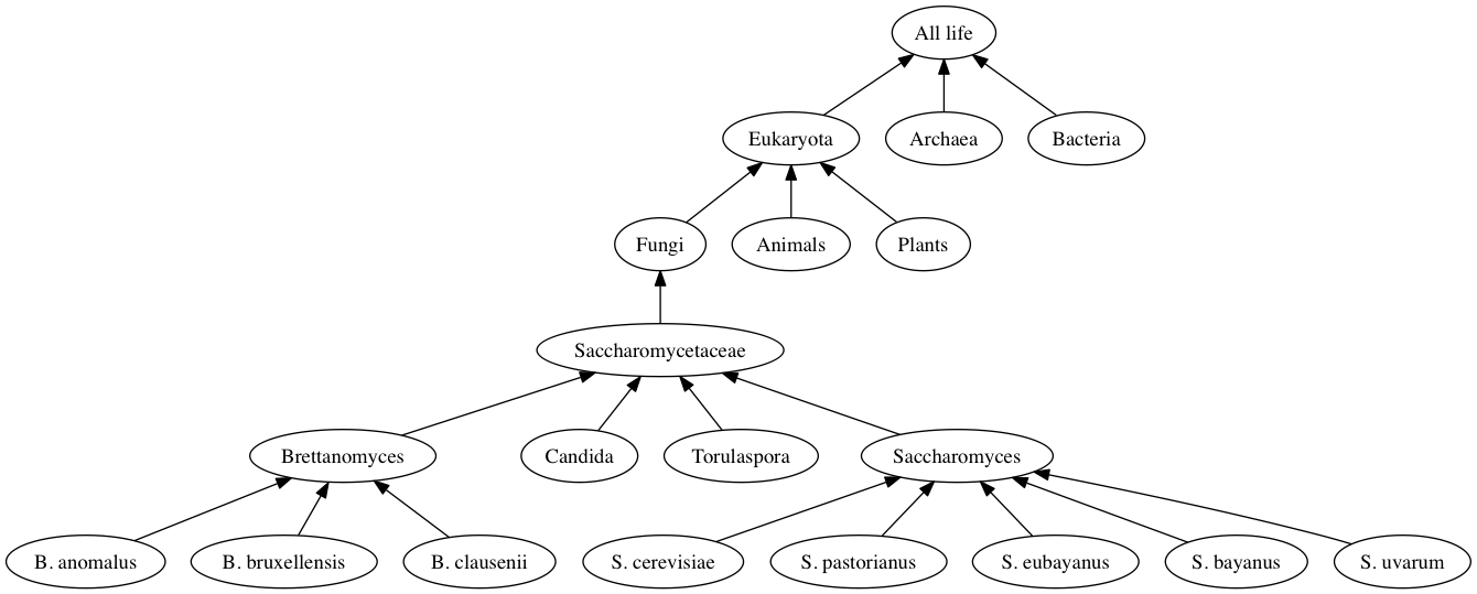 1340x539 Counter Brew Making Great Beer With Common Sense. The Actual