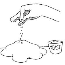 225x224 A Sifted Life The Poop In The Brownies Part 1