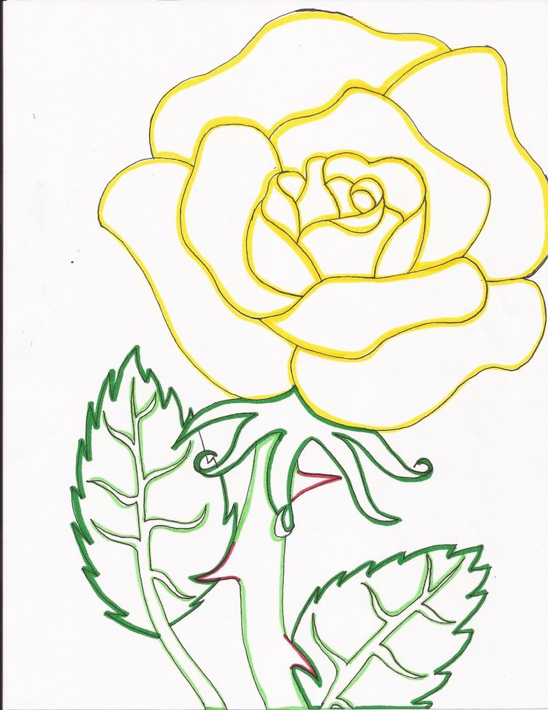 786x1017 Yellow Rose Line Art By Day Week