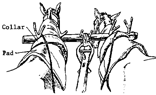 516x317 5. Yokes And Harnesses