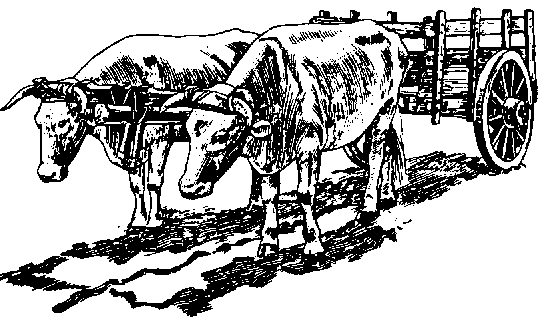 550x323 Animal Traction 5. Yokes And Harnesses Yokes And Harnesses