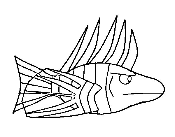 600x470 Kids Drawing Lionfish Coloring Pages Batch Coloring