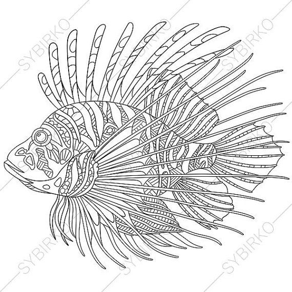 570x570 Adult Coloring Pages. Fish. Lionfish. Zentangle Doodle Coloring
