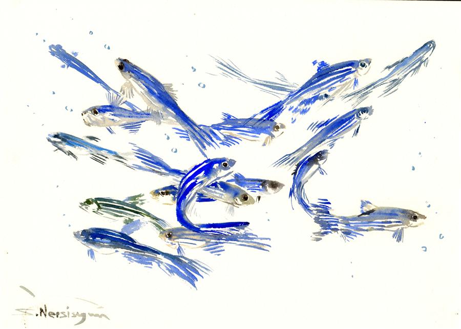 900x642 Large Mds01090.jpg