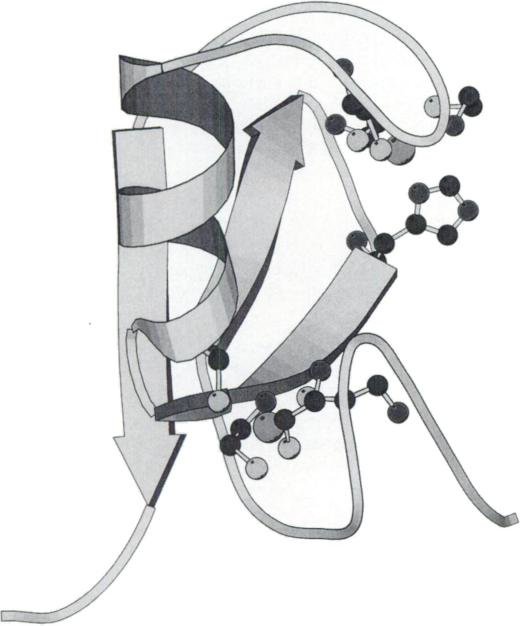 520x626 Graphical Sketch Of The Ehv Illustrating Secondary Structural