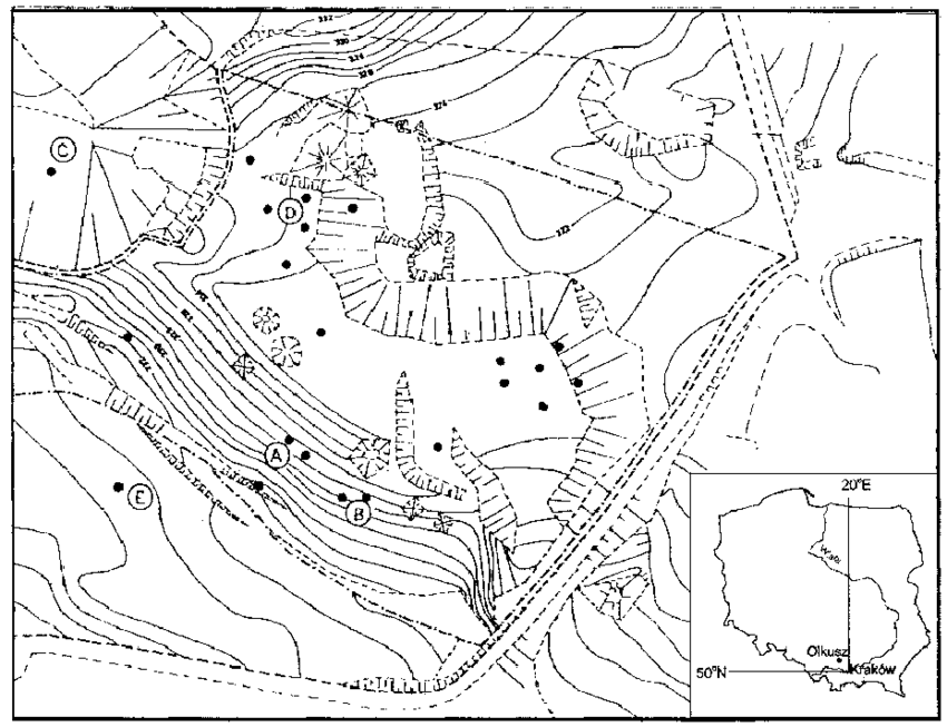 850x653 Location Of Zinc Mine Spoils (Olkusz Region). @bullet
