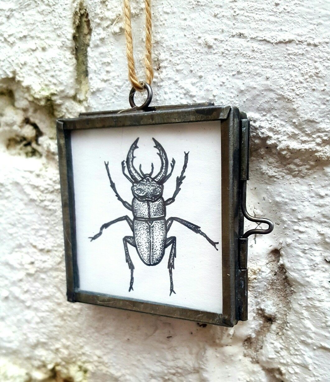 1060x1227 Vintage Zinc Frame, Stag Beetle, Original Drawing, 5cm X 5cm