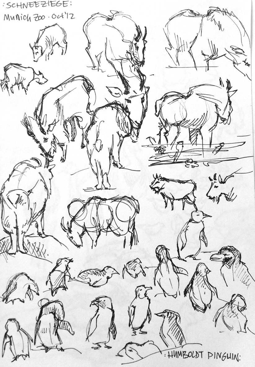 823x1185 Drawings Zoo Animals Emily Bee