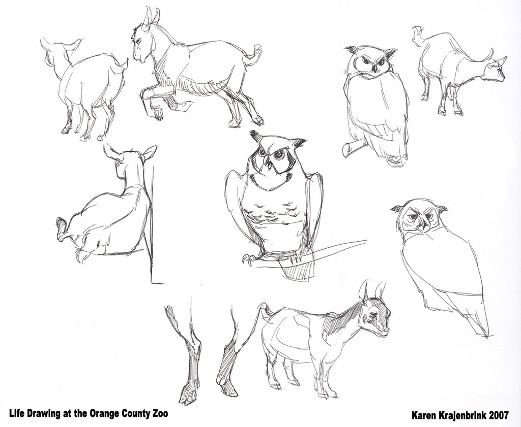 1024x841 Zoo Drawing Goats And Owls By Kayjkay