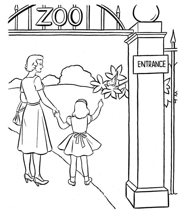 631x727 60 Best Zoo Images On Kids Net, Coloring And Printable