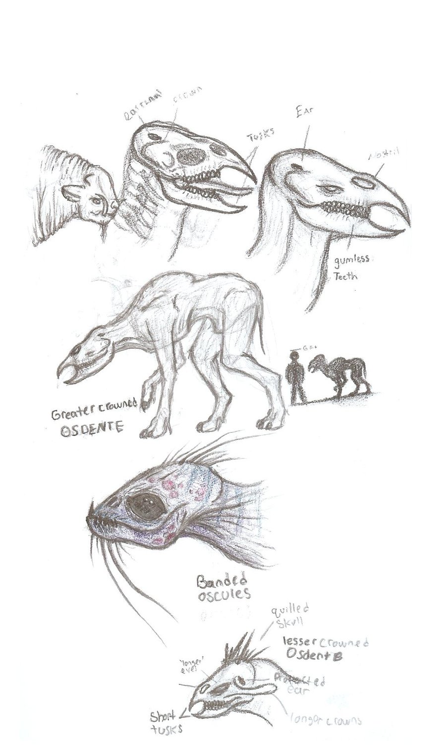 900x1504 Sketch Dump Future Zoology By Falafler