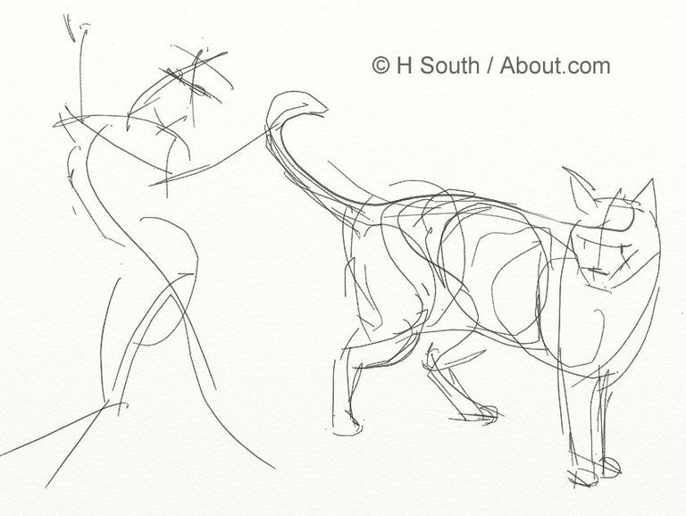 768x578 Your Guide To Drawing And Sketching Cats Cat, Drawing Reference