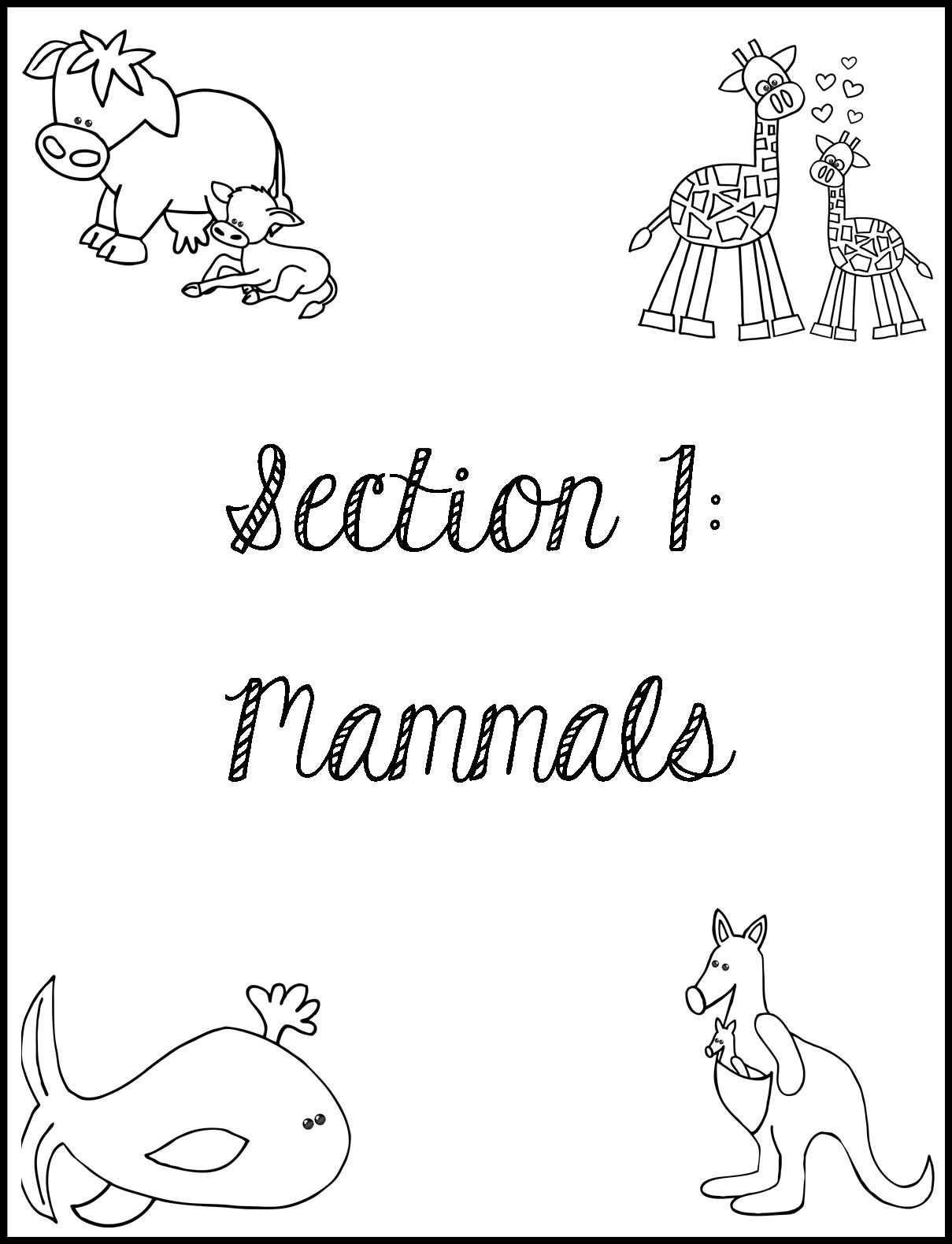 1209x1580 Zoology Notebooking Amp Copy Work Pictures Raising {Ampteaching