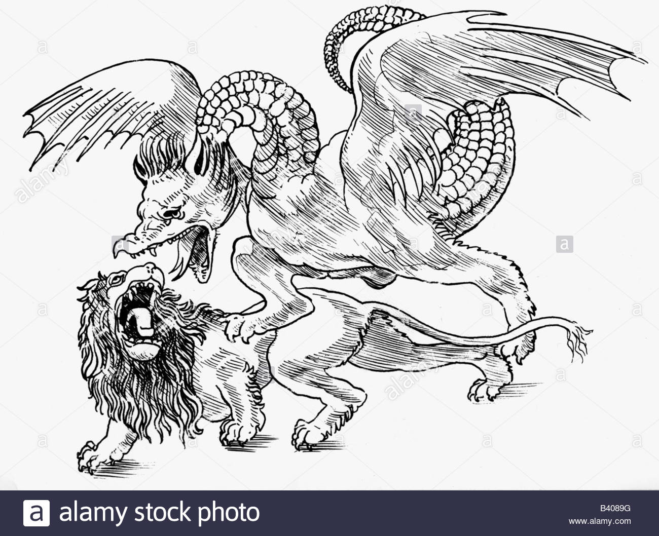 1300x1058 Superstition, Mythical Creatures, Dragons, A Dragon Fighting