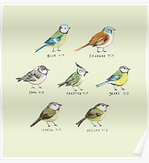 210x230 Zoology Posters Redbubble